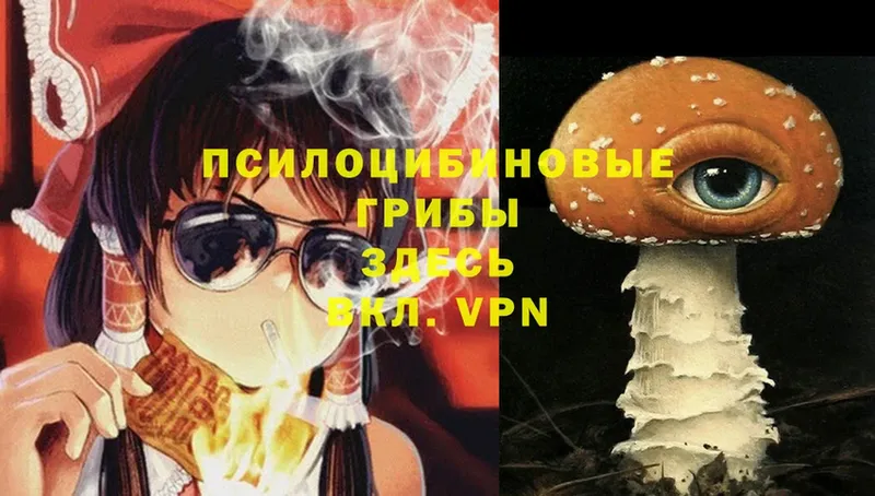 Псилоцибиновые грибы Magic Shrooms  закладки  Вязники 